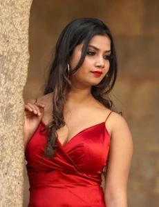 call girl service in Vallabhipur